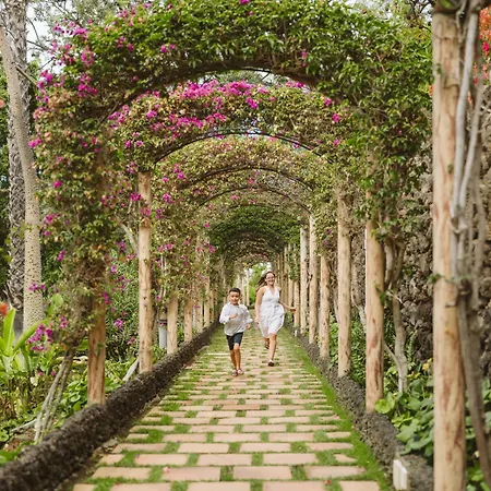 Precise Tenerife Puerto de la Cruz (Tenerife)