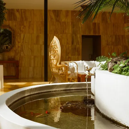 Hotel Precise Tenerife Puerto de la Cruz (Tenerife)