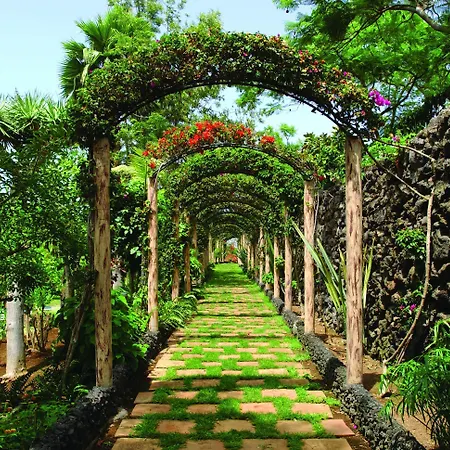 Precise Tenerife 4* プエルト・デ・ラ・クルス