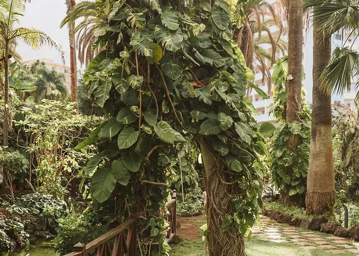 Precise Tenerife מלון